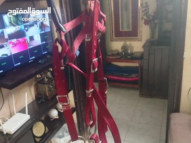 لجام خيل كامل نقليزي