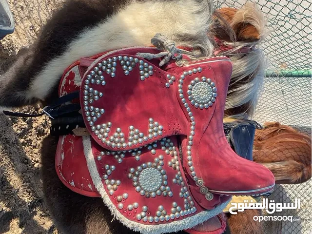 اجار بوني جميع مناطق الكويت