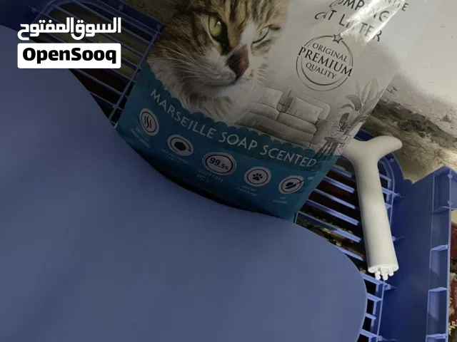 لتر بوكس للحيوان