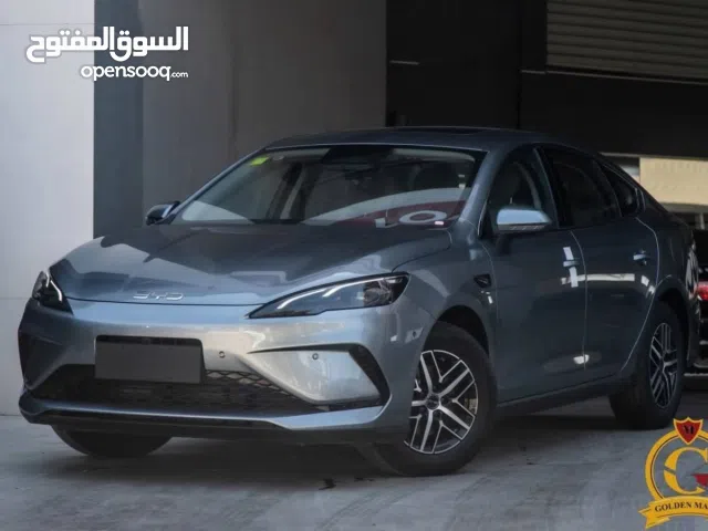 2025, بي واي دي, سيل