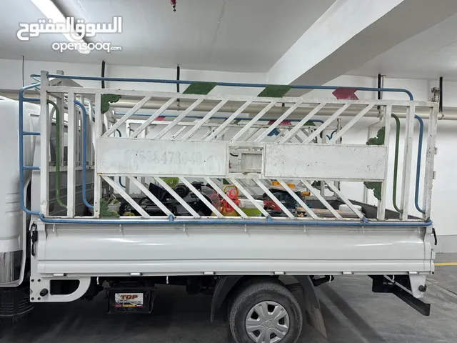 محجر كيا حمل نظيف