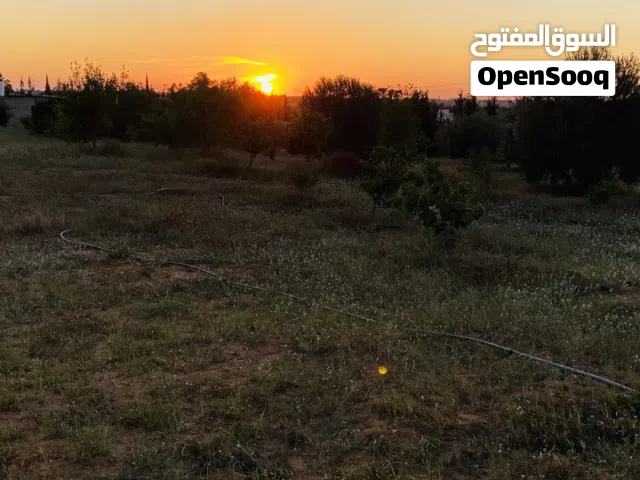 ارض مساحتها اكتر من 6000 متر
