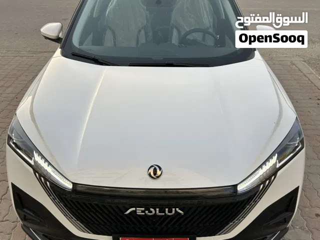 2026 دونج فينج ميج EV