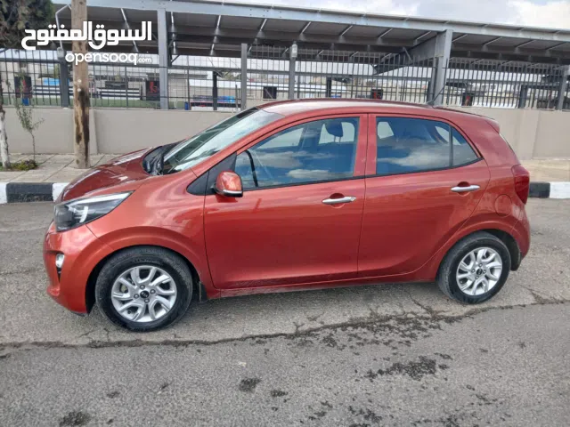 Used Kia Picanto in Amman