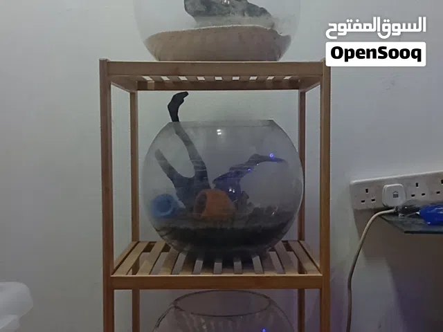 احواض سمك  دائر