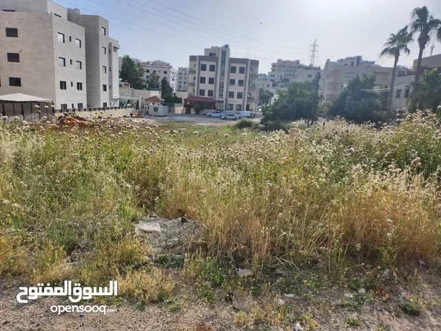 Residential Land for Sale in Amman Marj El Hamam