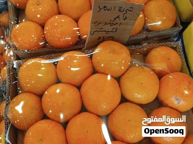 شركه توصيل شبرة