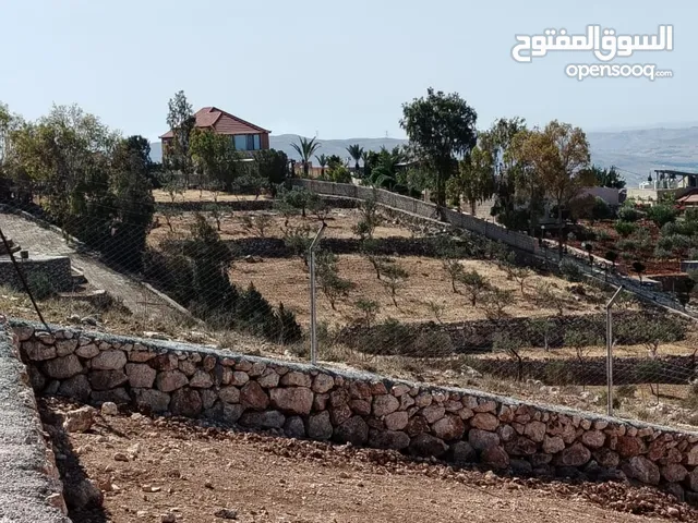 Farm Land for Sale in Jerash Unaybah