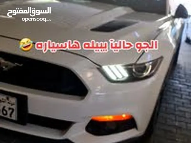 Used Ford Mustang in Hawally