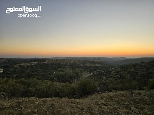 Mixed Use Land for Sale in Ramallah and Al-Bireh Abu Shukhaydam