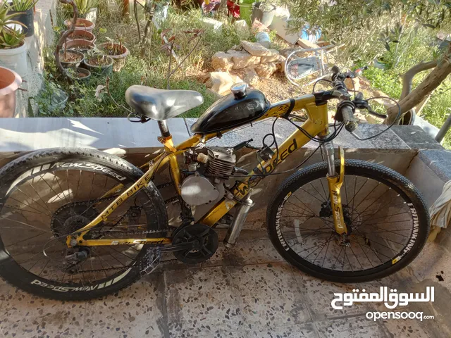 بسكليت بنزين