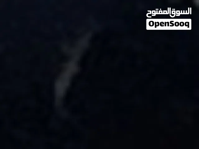 للبيع بيسي جيمنج