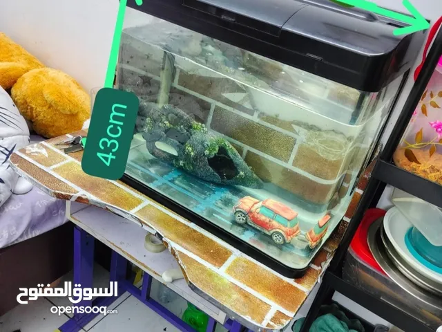 Big fish tank aquarium for sale