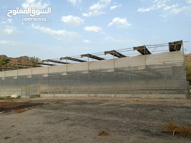 Green house for sale,or rent or investment