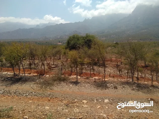 Mixed Use Land for Sale in Socotra Other