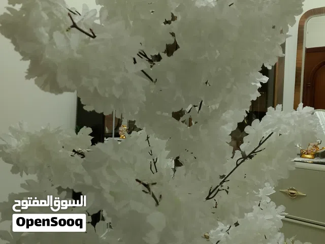 أناقة لا تضاهى لمنزلك – شجرة طبيعية