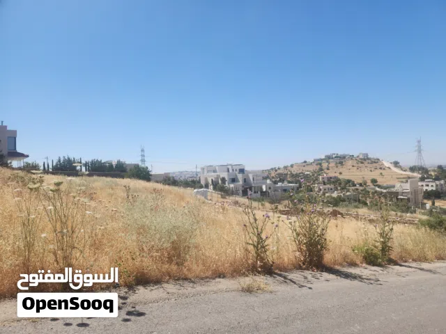 Residential Land for Sale in Amman Bilal