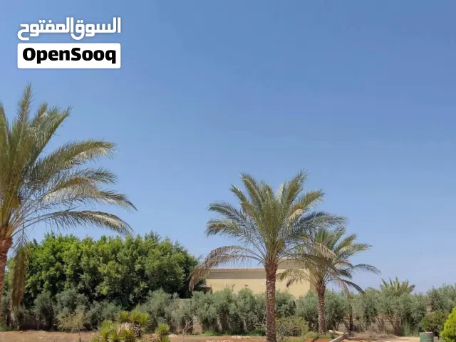 قطعة ارض عل رائيسي مباشر تيكه 9 هكتار