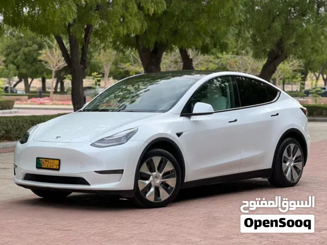 2023 تيسلا موديل Y Long Range
