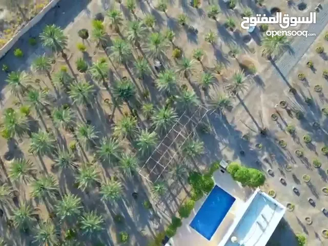 More than 6 bedrooms Farms for Sale in Al Sharqiya Al Mudaibi