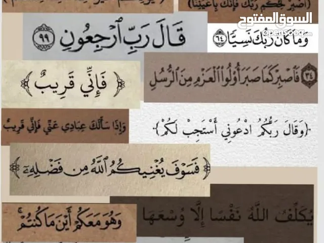 مطلوب شقة للإيجار