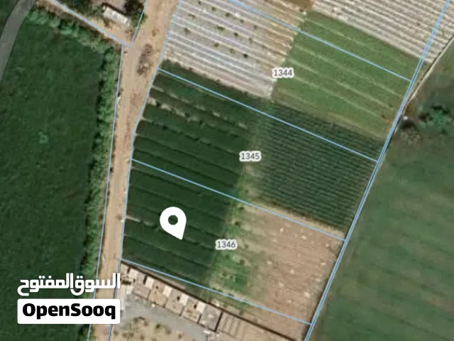 ارض زراعية فدان ضيان الجهاور جنوب