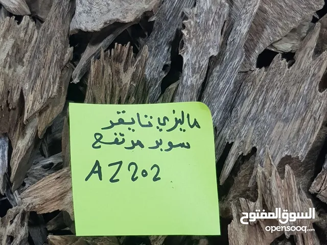 عود ماليزي تايجر ANM21