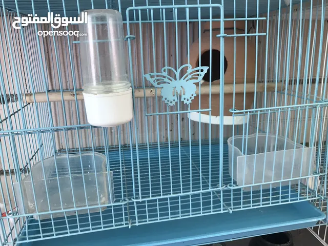 اقفاص للطيور مع كامل مستلزماتها