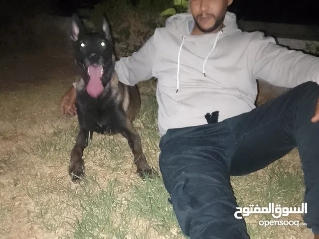 مانلوا سام لوكا
