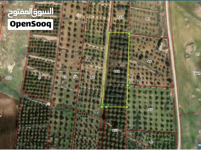 Farm Land for Sale in Irbid Ham