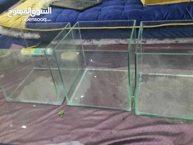 احواض اسماك 30 سنتي