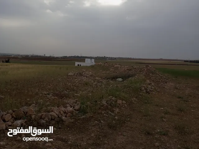 Farm Land for Sale in Amman Naour