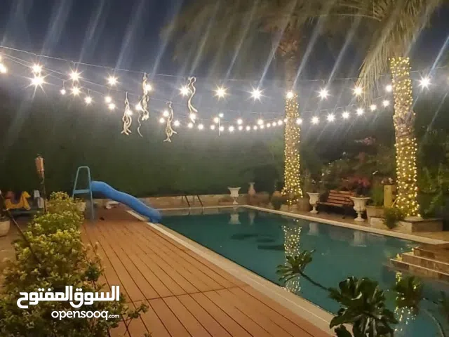 Outdoor Garden lights