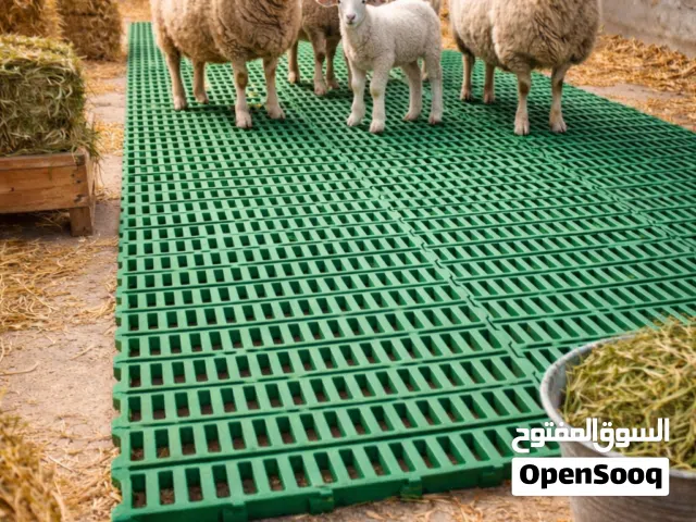 أقوى أرضيات غنم في السوق – تحمّل خرافي وراحة مضمونة