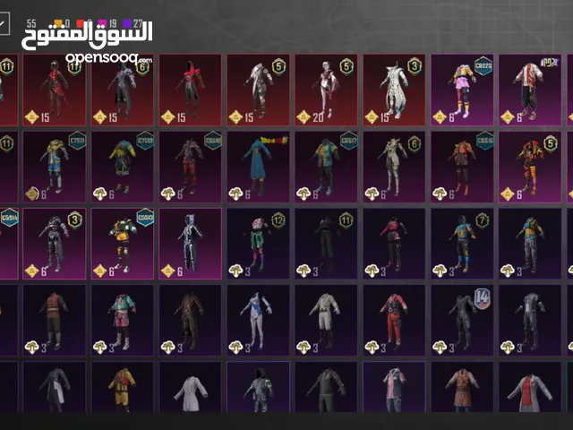 Pubg Accounts and Characters for Sale in Irbid