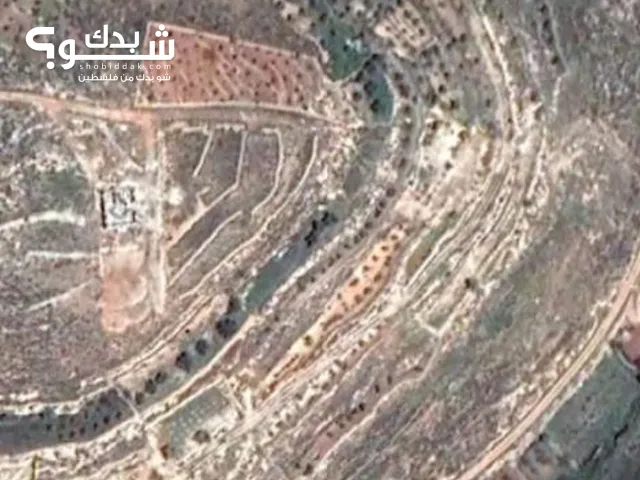 Mixed Use Land for Sale in Hebron AlShuyukh