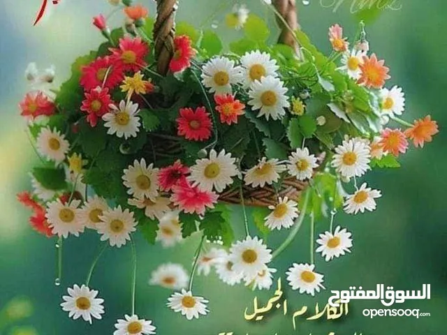 مدرس لغه انجليزيه