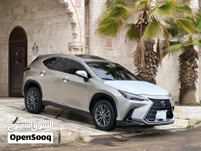 2024 لكزس NX NX 350