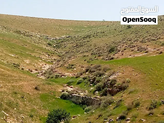 Farm Land for Sale in Mafraq Other