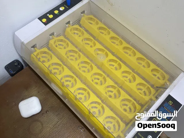 فقاسه 24بيضه