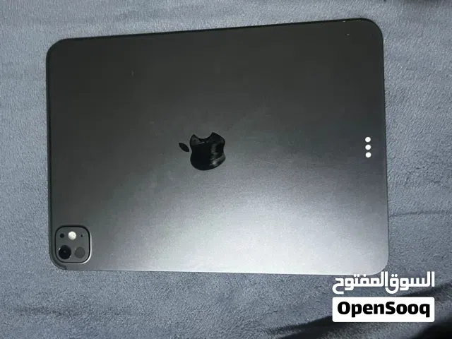 Apple Others 256 GB in Basra