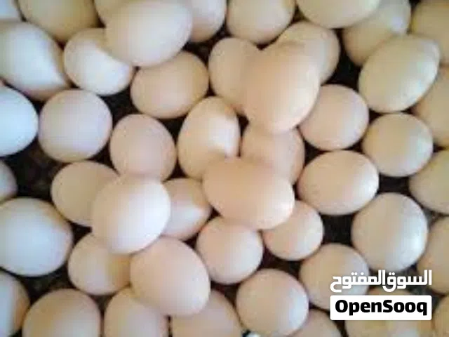 بيض بلدي بلدي