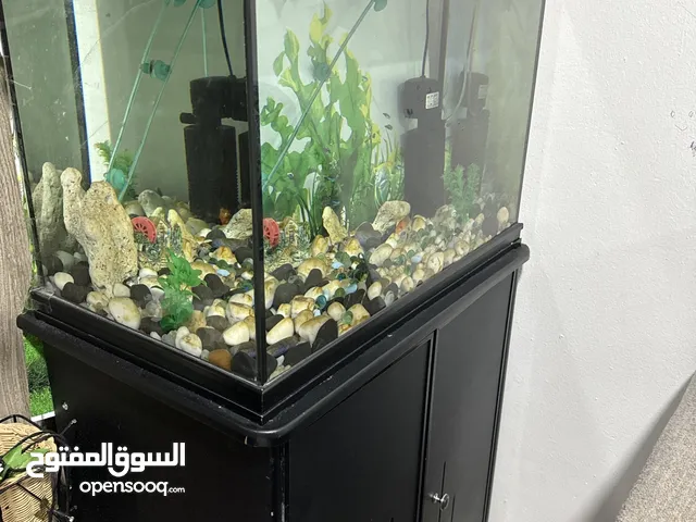 Fish tank  with filter pebbles and filter