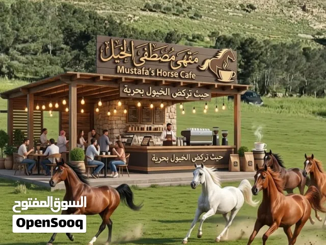 زتااسزةسوويوسوزسززيز