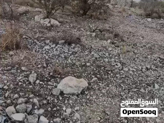 Rare Investment Opportunity – Tourism Project Land