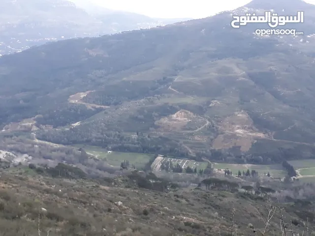 Residential Land for Sale in Chouf Bsaba