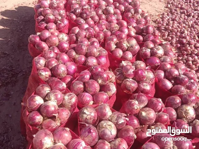 بصل يمني رقم واحد وباقل الاسعار