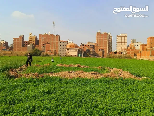 Residential Land for Sale in Mansoura Other