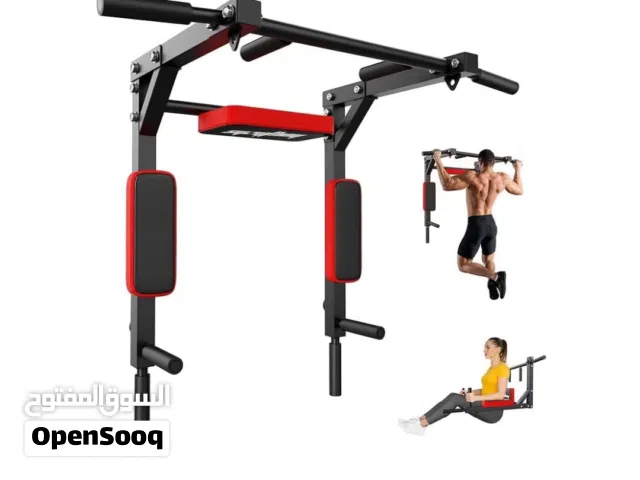 pull up and dip bars