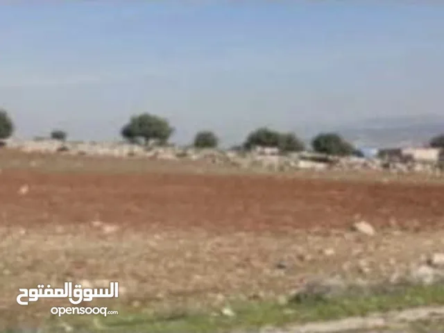 Farm Land for Sale in Salt Al Balqa'